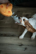 Double Wobble Cheesy Comrades - Image 4