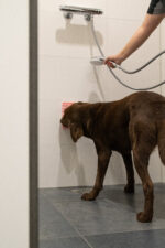 Eat Slow Live Longer Lick Mat Honeycomb Pink - Image 3