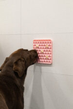 Eat Slow Live Longer Lick Mat Honeycomb Pink - Image 4