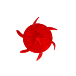 Eat Slow Live Longer Gobble Stopper Red - Image 3