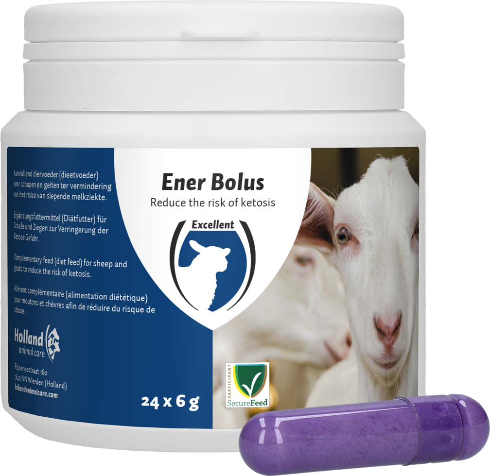 Excellent Ener Bolus Sheep & Goat