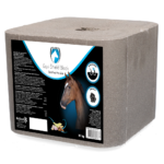 Excellent Horse Shield Block 10 kg