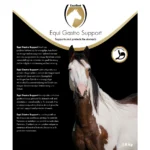 Excellent Horse Gastro Support 1,8 kg - Image 3