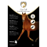 Excellent Horse Oxy Cell 1 l - Image 3
