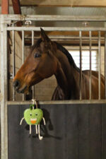 Excellent Horse Foodie Friends Apple - Image 3