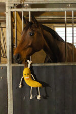Excellent Horse Foodie Friends Banana - Image 3