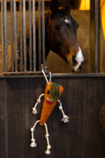 Excellent Horse Foodie Friends Carrot - Image 3