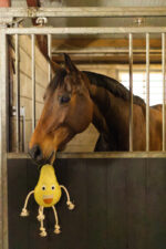 Excellent Horse Foodie Friends Pear - Image 4