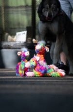 FantaZoo Giraffe - L - Image 4