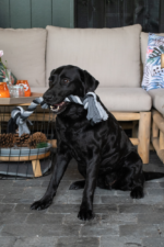 Floss Toss Dental Rope 5 Knot - 145 cm - Image 2