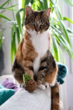 Forest Friends Mouse Green - Image 3