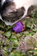 Forest Friends Mouse Purple - Image 3