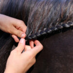 NATHALIE HORSE CARE Strong Hold Plait 250 ml. - Image 2