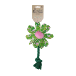 Garden Paws Flower Summer Shrubs S