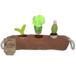 Garden Paws Snuffle Box Sprout, Crop & Cactus