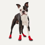 Goo-eez Dog Boots Ultras 2 Per Pack XXS Red/Black - Image 3