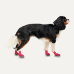 Goo-eez Dog Boots Lites 4 Per Pack XXL Red/Black - Image 2