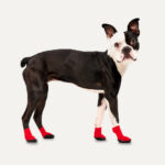 Goo-eez Dog Boots Lites 4 Per Pack XXL Red/Black - Image 3