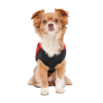 Goo-eez Mock Neck Signature Wrap Jacket XXL Red/Black - Image 5