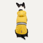 Goo-eez Reflective Hooded Raincoat L Yellow/Grey - Image 2