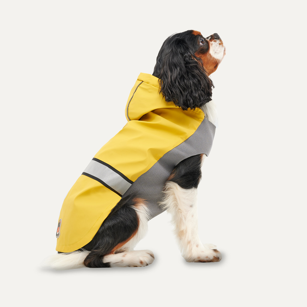 GOOE052F Goo-eez Reflective Hooded Raincoat XL Yellow/Grey - Image 1