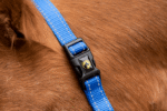 Excellent Essential Halter Blue XS - Image 2