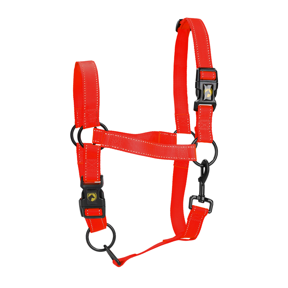 HALS1101B Excellent Premium Halter Red XS - Image 1