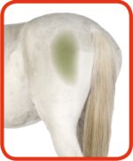 Excellent Horse Hi Gloss Clean Spray 500 ml - Image 3