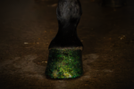 Excellent Horse Hi Gloss Glitter Hoof Polish Green 150 ml - Image 2
