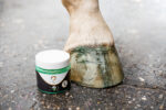 Excellent Horse Hi Gloss Glitter Hoof Polish Green 150 ml - Image 4