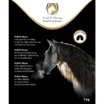 Excellent Horse H.M.P. Powder 1 kg - Image 2