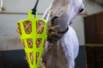 Hay Slow Feeder Fun & Flex Carrot Green - Image 3