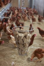 Hay Feeding Basket - Image 2