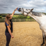 Horslyx Mini Original - Image 3