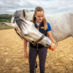 Horslyx Mini Mobility - Image 3