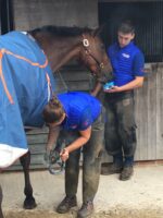 Horslyx Mini Respiratory - Image 2