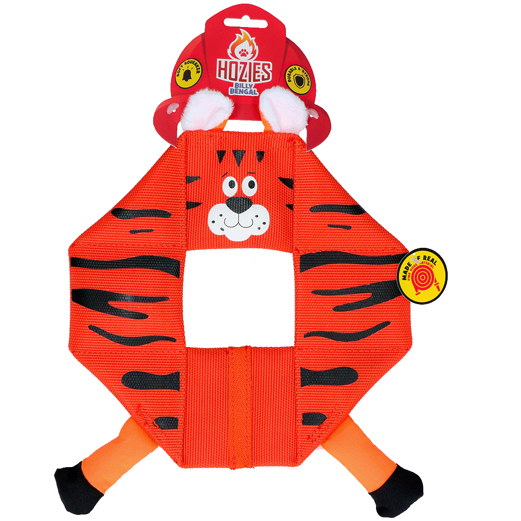 Hozies Billy Bengal Octagon Billy Bengal