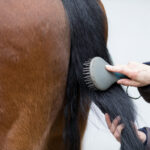 NATHALIE HORSE CARE Easy Mane & Tail Spray 750 ml. - Image 2