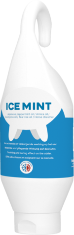 Ice Mint Gel stading and hanging bottle 500 ml