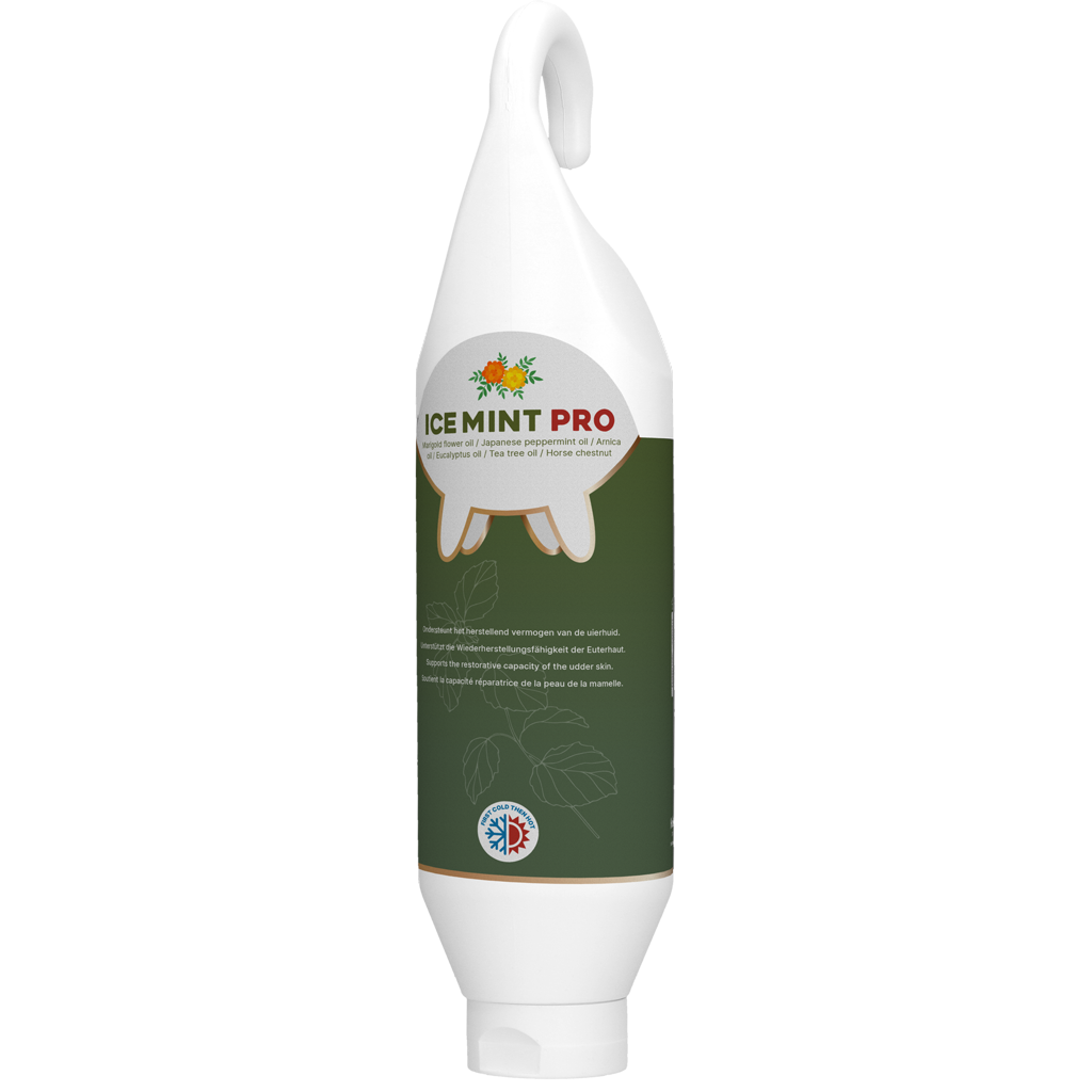 Ice Mint Pro Gel Standing / Hanging tube 1 l