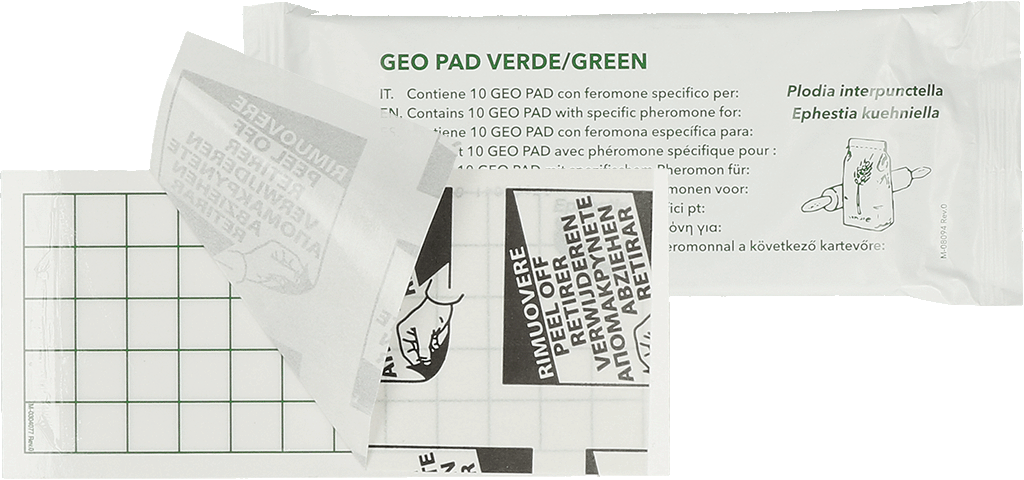 INPEP-04077 Geo Glue Pad Pantry Moth - Image 1