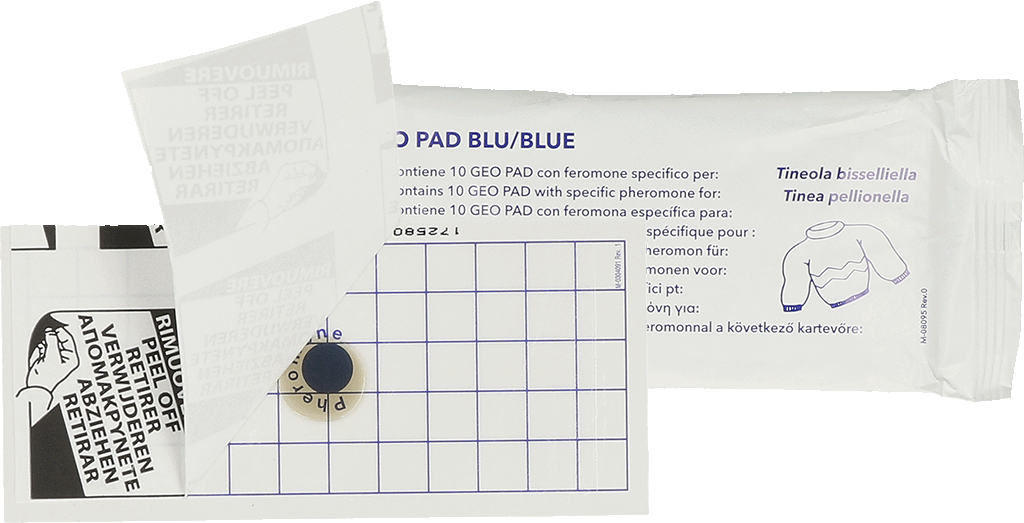 Geo Glue Pad Clothes Moth