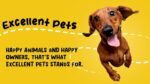 Excellent Pets Multi-Vit Soft Chews 120 Treats - Image 3