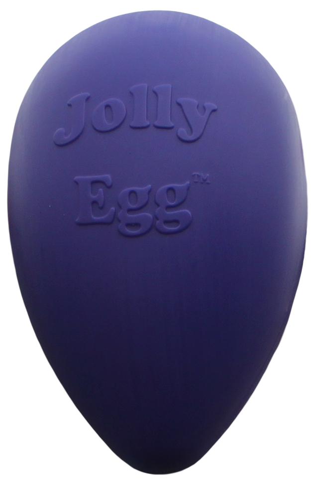 Jolly Egg Purple L (30 cm)
