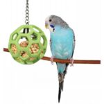 JW Hol-ee Roller for Parrots - Image 4