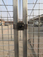 Cucciolotta Polly Run - Image 4