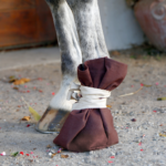 KERBL Claw/Hoof Treatment Shoe for cattle and horse - Image 4