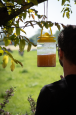 Knock Pest FlyNip FlyTrap - Image 3