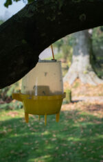 Knock Pest Wasp Trap - Image 4
