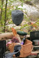 Knock Pest Wasp Protector - Image 3